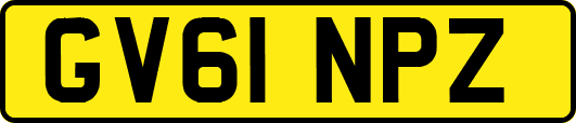 GV61NPZ