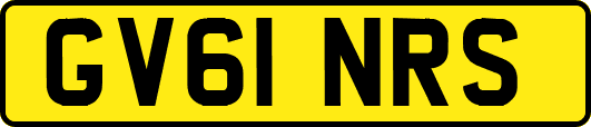 GV61NRS