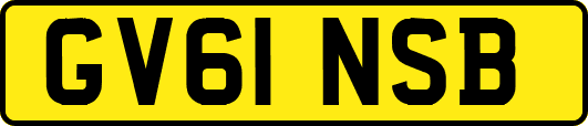 GV61NSB