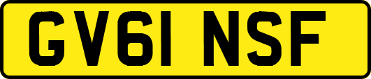 GV61NSF