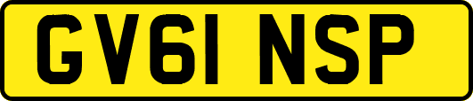 GV61NSP