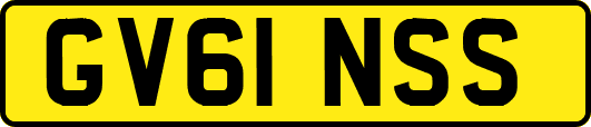 GV61NSS