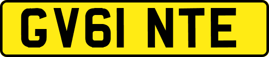 GV61NTE