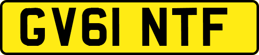 GV61NTF