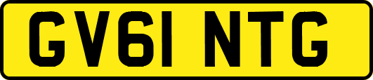 GV61NTG