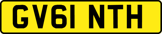 GV61NTH