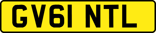 GV61NTL