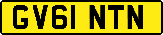 GV61NTN