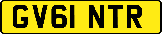 GV61NTR