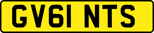 GV61NTS