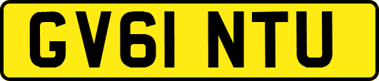 GV61NTU