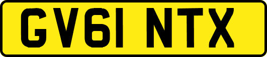 GV61NTX