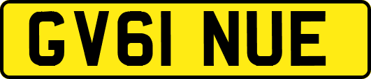 GV61NUE
