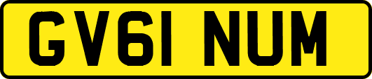 GV61NUM