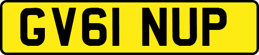 GV61NUP