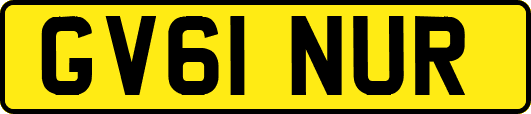 GV61NUR
