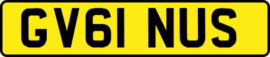 GV61NUS