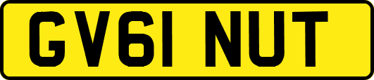 GV61NUT