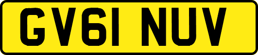 GV61NUV