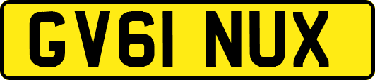 GV61NUX