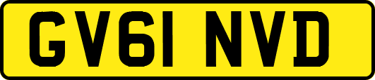 GV61NVD
