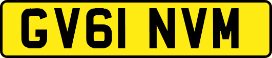 GV61NVM