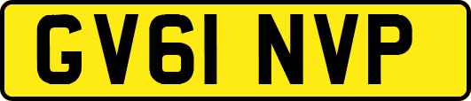 GV61NVP