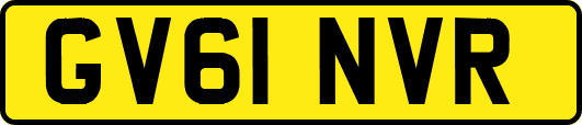 GV61NVR