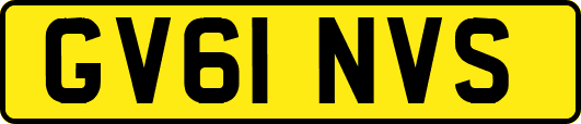GV61NVS