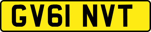 GV61NVT