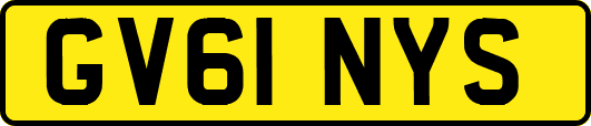 GV61NYS