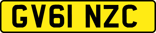 GV61NZC