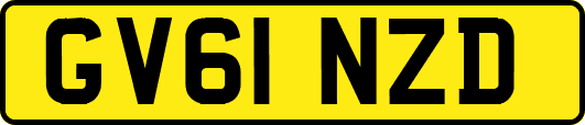 GV61NZD