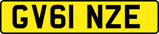 GV61NZE