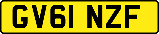 GV61NZF