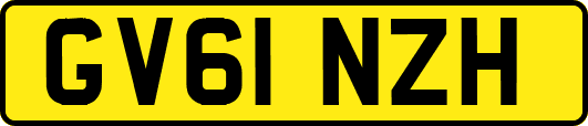 GV61NZH