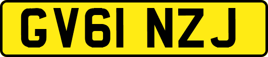 GV61NZJ