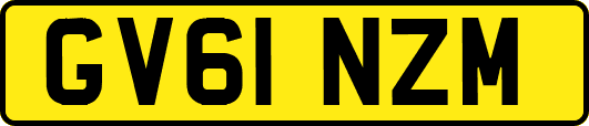 GV61NZM