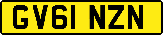 GV61NZN