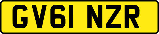 GV61NZR