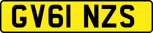 GV61NZS