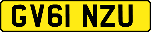 GV61NZU