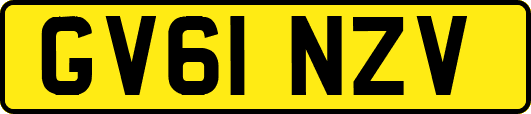 GV61NZV