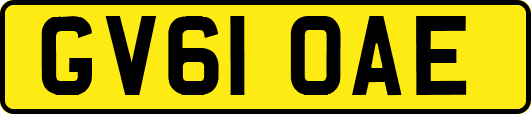 GV61OAE