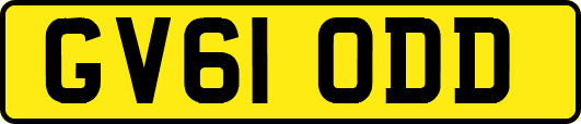 GV61ODD
