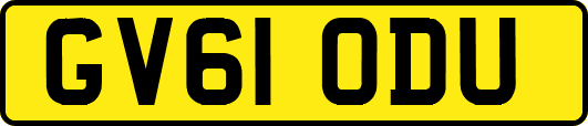 GV61ODU