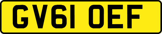 GV61OEF
