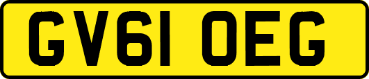 GV61OEG
