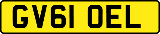 GV61OEL
