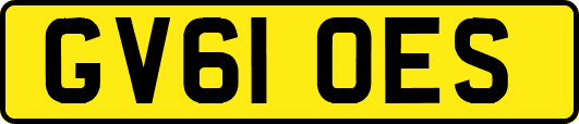 GV61OES